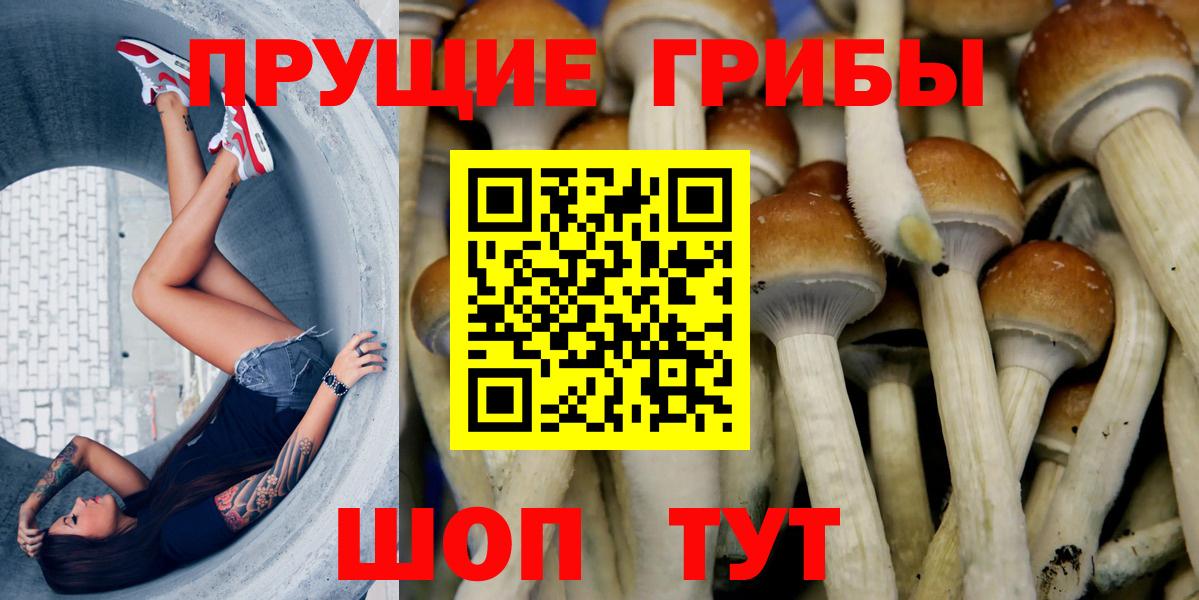 Галлюциногенные грибы Psilocybe  Вход с VPN  Канаш 