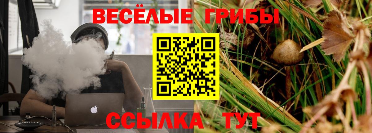 Псилоцибиновые грибы Psilocybine cubensis Канаш